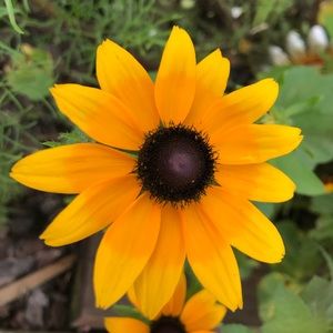 Meet your Posher, Natalee